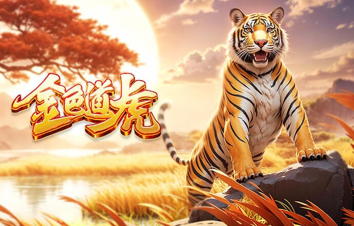 塞内加尔球迷嘲讽摩洛哥：冠军是在绿茵场上拼来的，不是靠发邮件拿的